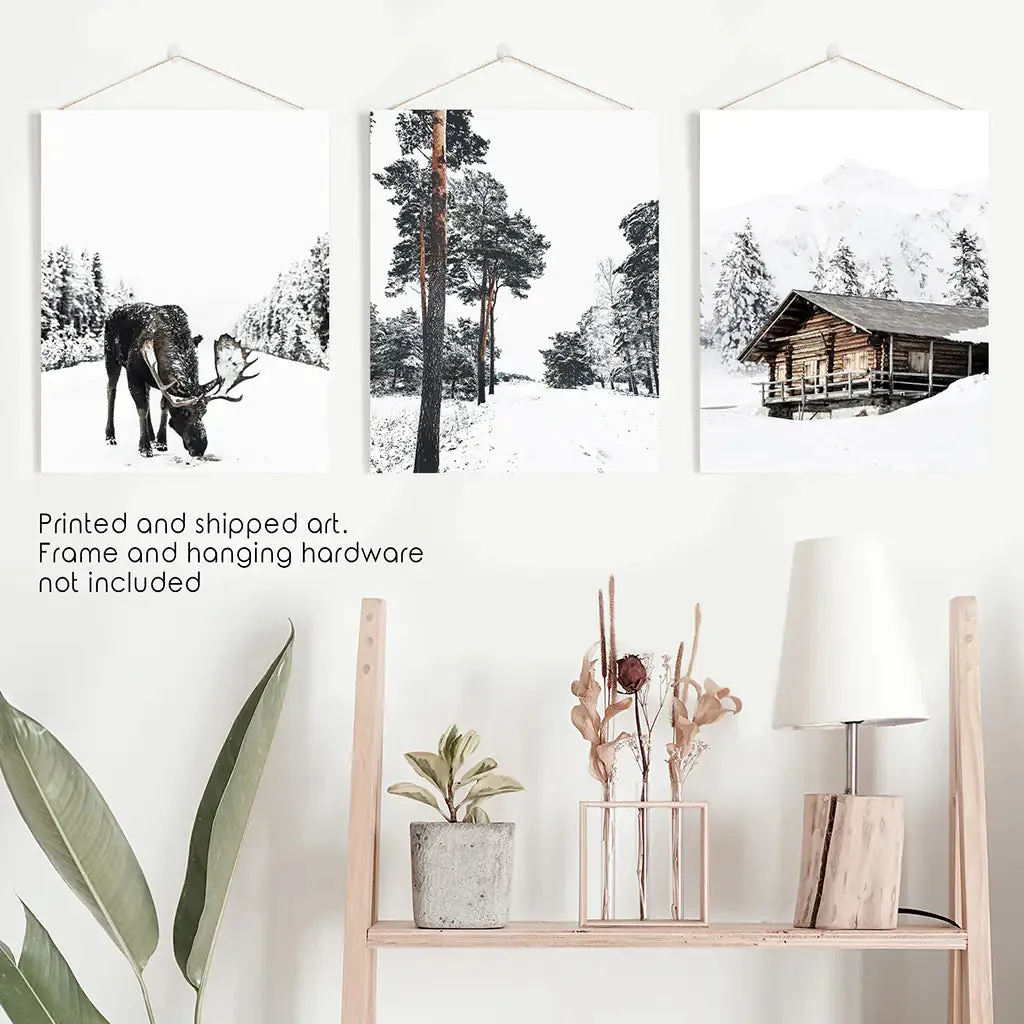 Nordic Winter 3 Piece Photo Set. Pine Forest, Moose, Log Cabin